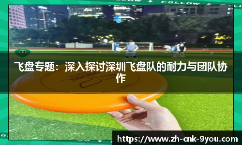 飞盘专题：深入探讨深圳飞盘队的耐力与团队协作